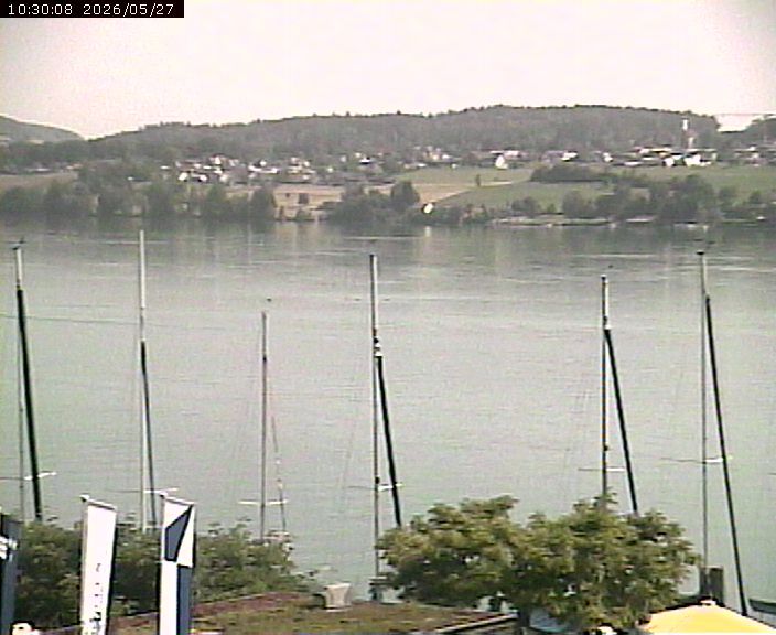 Beinwil am See: Hallwilersee Ost 1