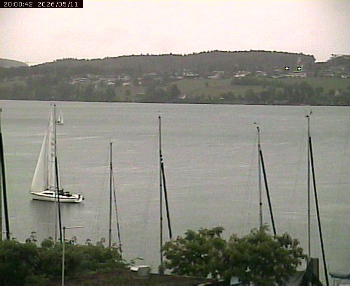 Beinwil am See: Hallwilersee Ost 1