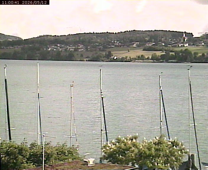 Beinwil am See: Hallwilersee Ost 1