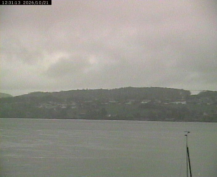 Beinwil am See › Osten: Lake Hallwil