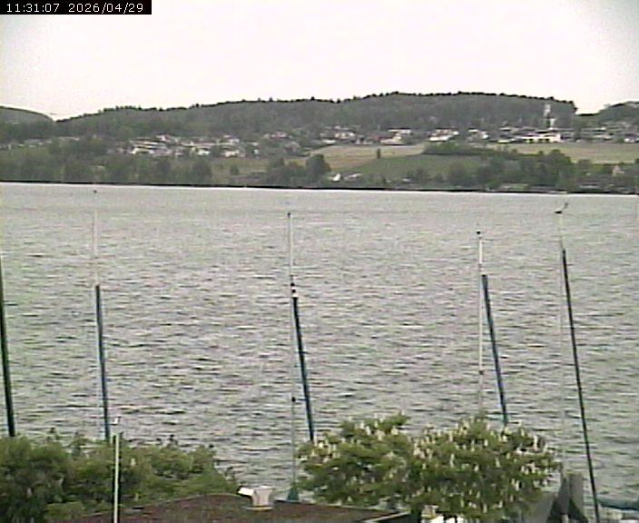 Beinwil am See: Hallwilersee Ost 1