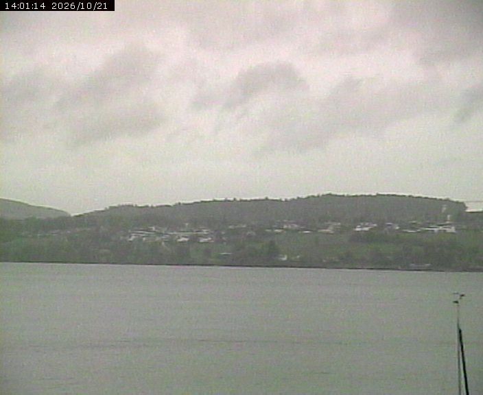Beinwil am See › Osten: Lake Hallwil