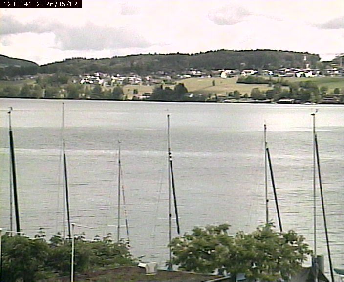 Beinwil am See: Hallwilersee Ost 1
