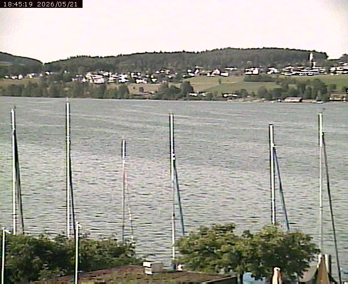 Beinwil am See: Hallwilersee Ost 1