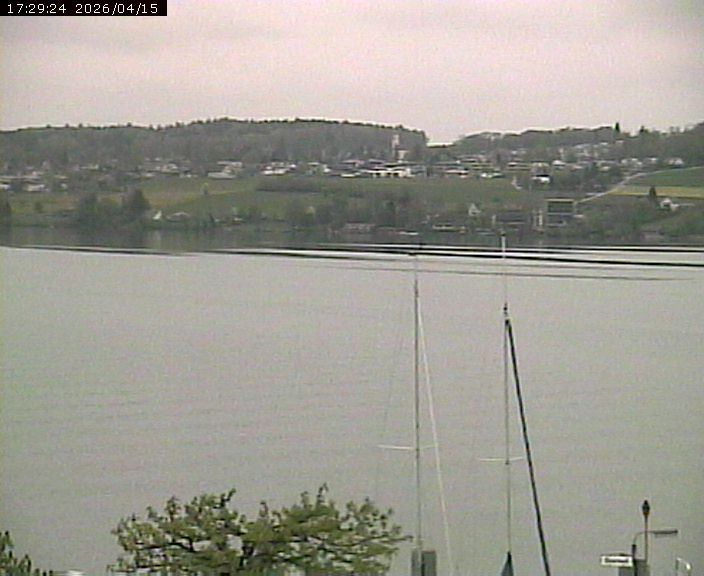 Beinwil am See: Hallwilersee Ost 1