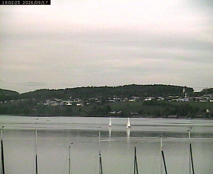Beinwil am See › Osten: Lake Hallwil
