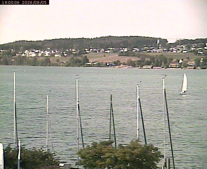 Beinwil am See › Osten: Lake Hallwil