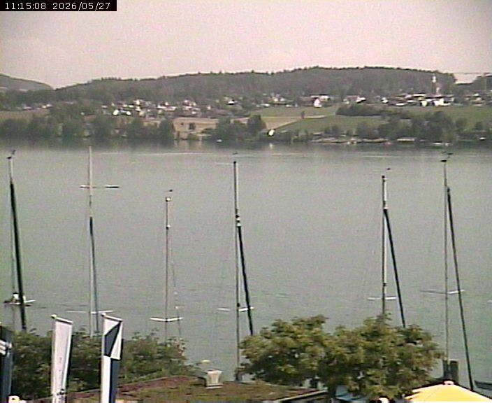 Beinwil am See: Hallwilersee Ost 1