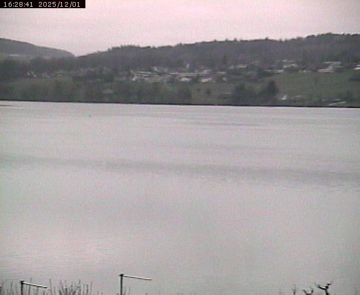 Beinwil am See: Hallwilersee Ost 1