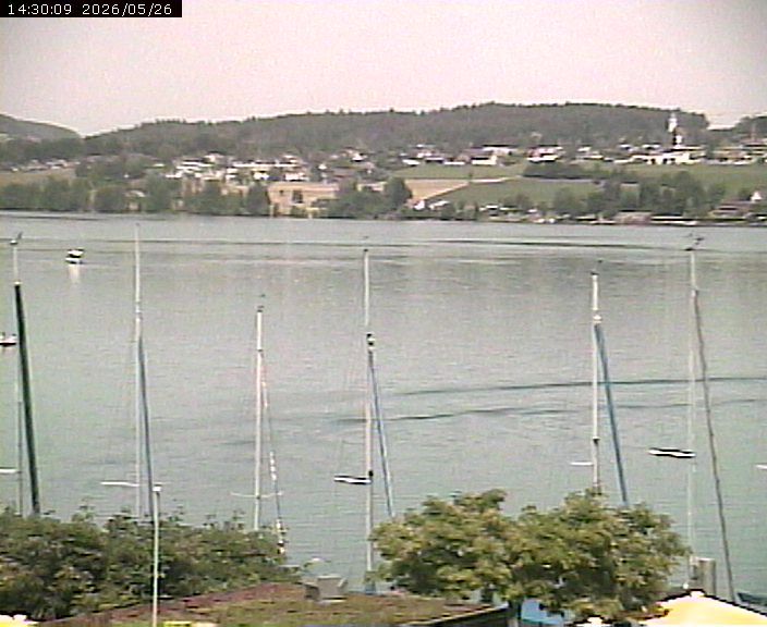 Beinwil am See: Hallwilersee Ost 1
