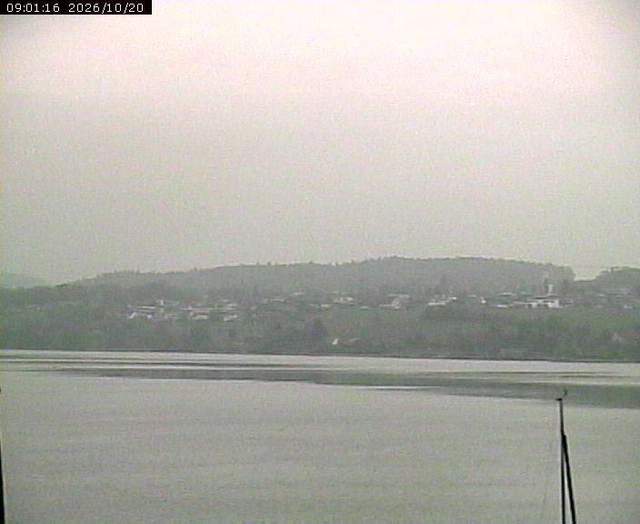 Beinwil am See › Osten: Lake Hallwil
