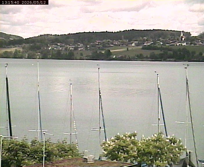Beinwil am See: Hallwilersee Ost 1