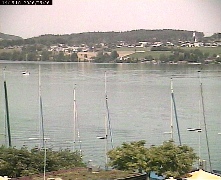 Beinwil am See: Hallwilersee Ost 1