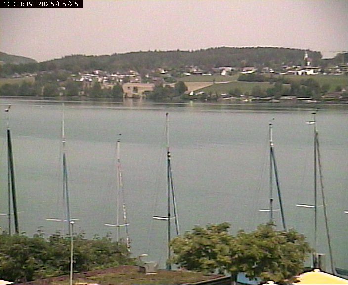 Beinwil am See: Hallwilersee Ost 1