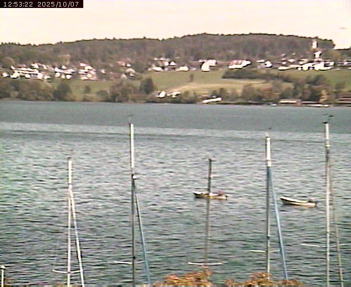 Beinwil am See: Hallwilersee Ost 1
