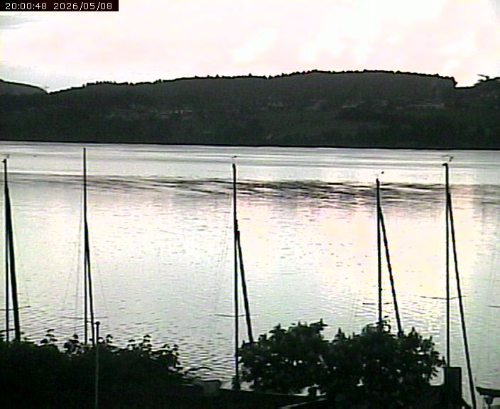 Beinwil am See: Hallwilersee Ost 1