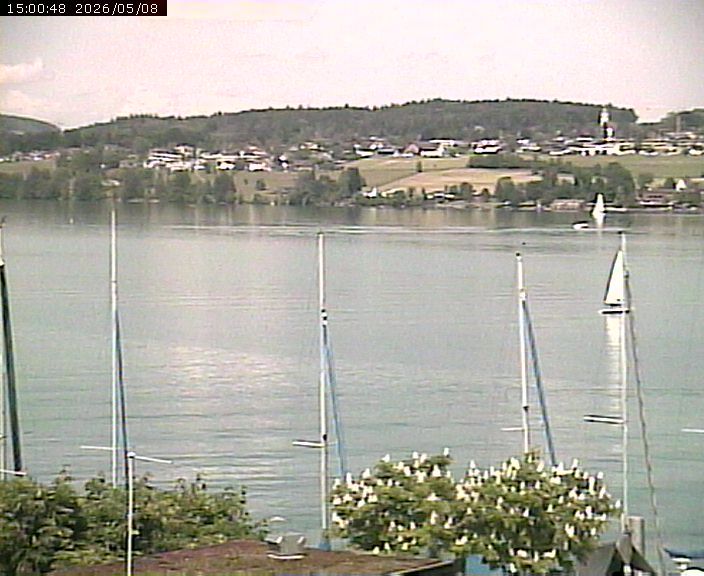 Beinwil am See: Hallwilersee Ost 1