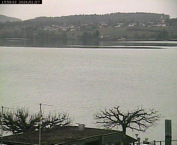 Beinwil am See: Hallwilersee Ost 1