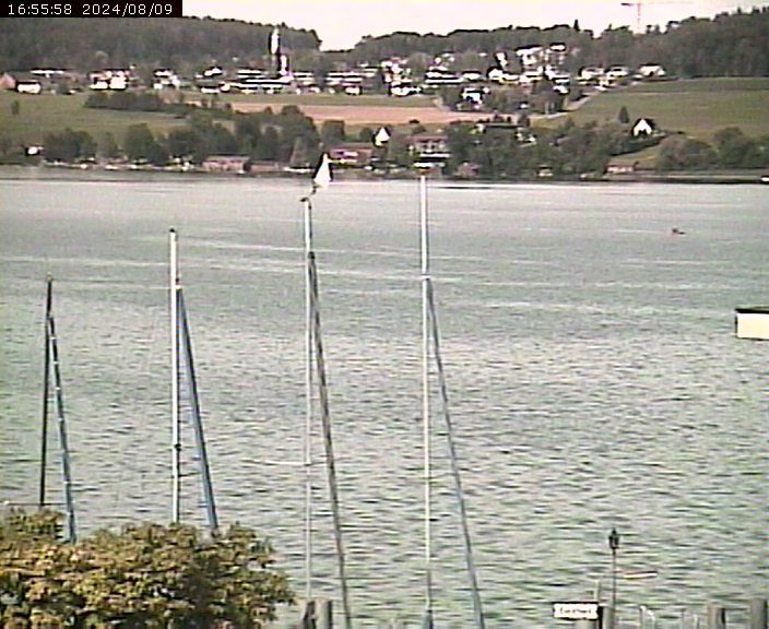 Beinwil am See: Hallwilersee Ost 1