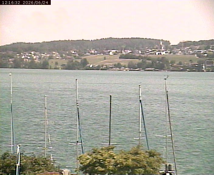 Beinwil am See › Osten: Lake Hallwil