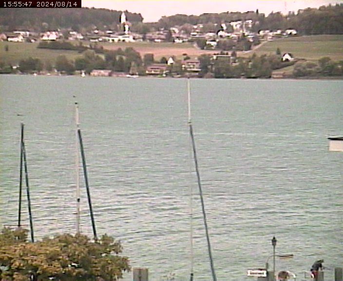 Beinwil am See: Hallwilersee Ost 1