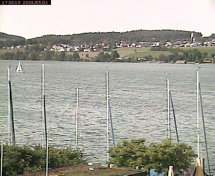 Beinwil am See: Hallwilersee Ost 1