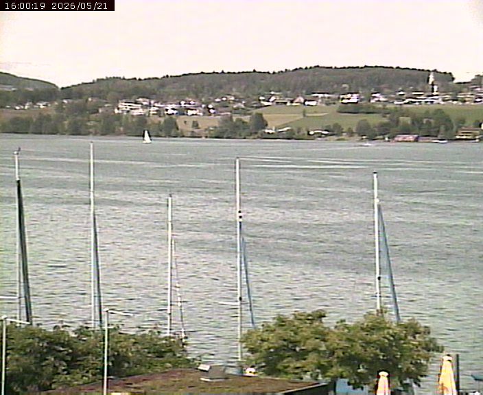 Beinwil am See: Hallwilersee Ost 1
