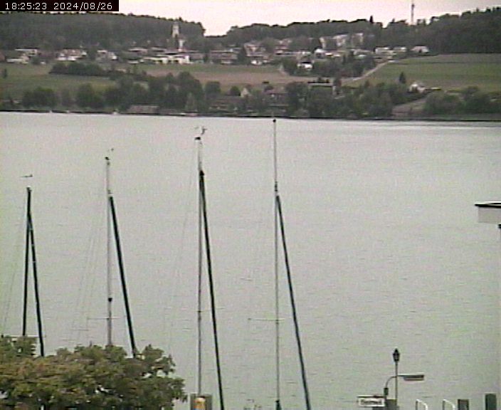 Beinwil am See: Hallwilersee Ost 1