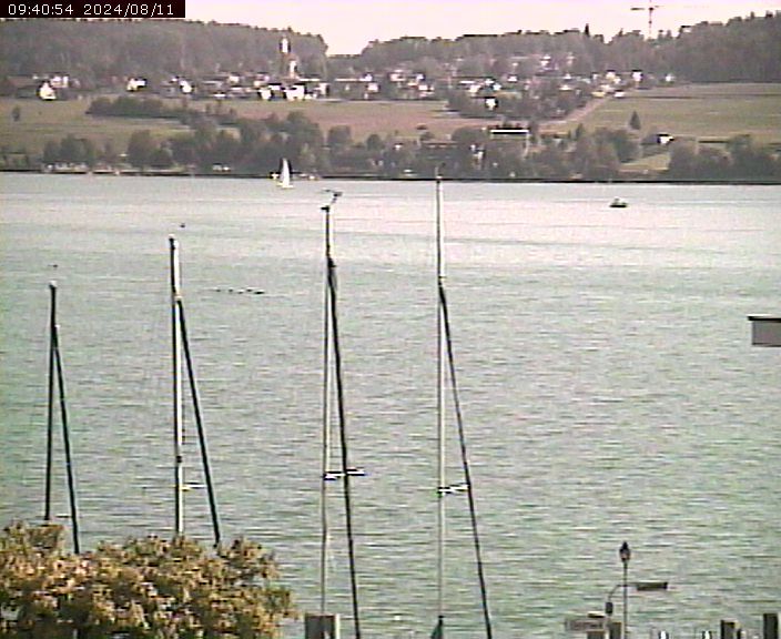 Beinwil am See: Hallwilersee Ost 1