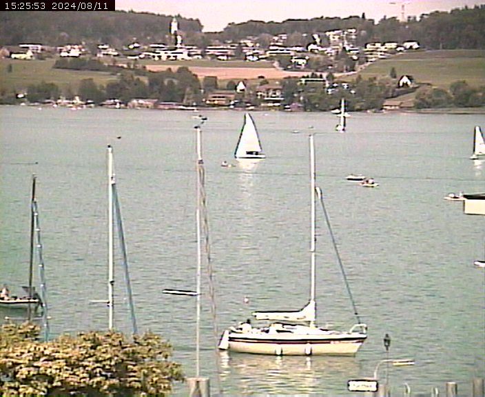 Beinwil am See: Hallwilersee Ost 1