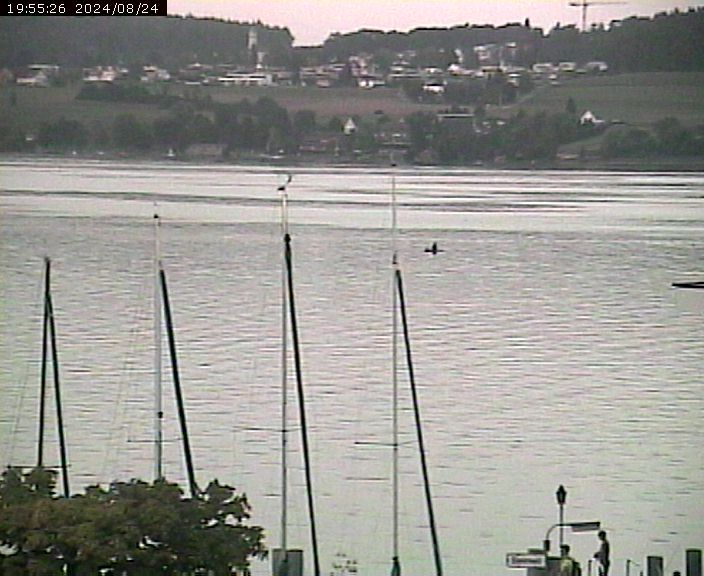 Beinwil am See: Hallwilersee Ost 1