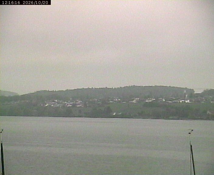 Beinwil am See › Osten: Lake Hallwil