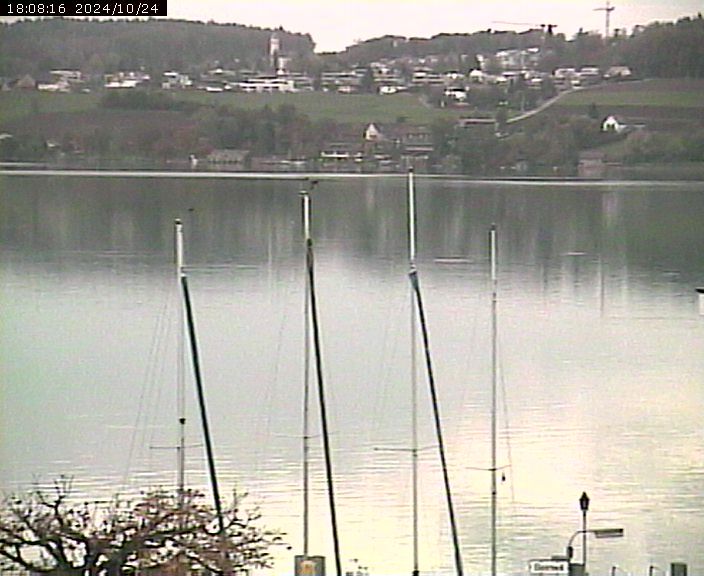 Beinwil am See: Hallwilersee Ost 1