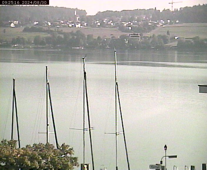 Beinwil am See: Hallwilersee Ost 1