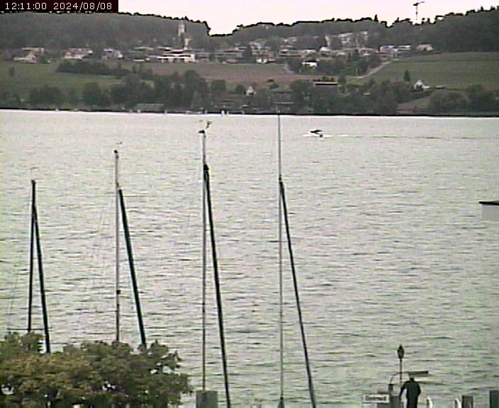 Beinwil am See: Hallwilersee Ost 1