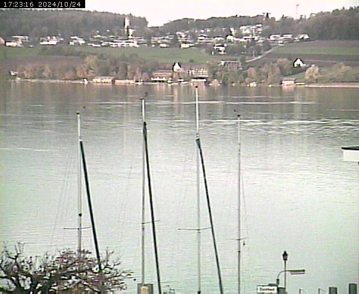 Beinwil am See: Hallwilersee Ost 1