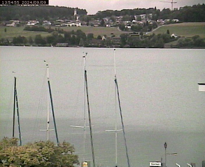 Beinwil am See: Hallwilersee Ost 1