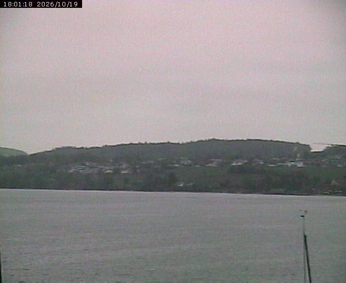 Beinwil am See › Osten: Lake Hallwil