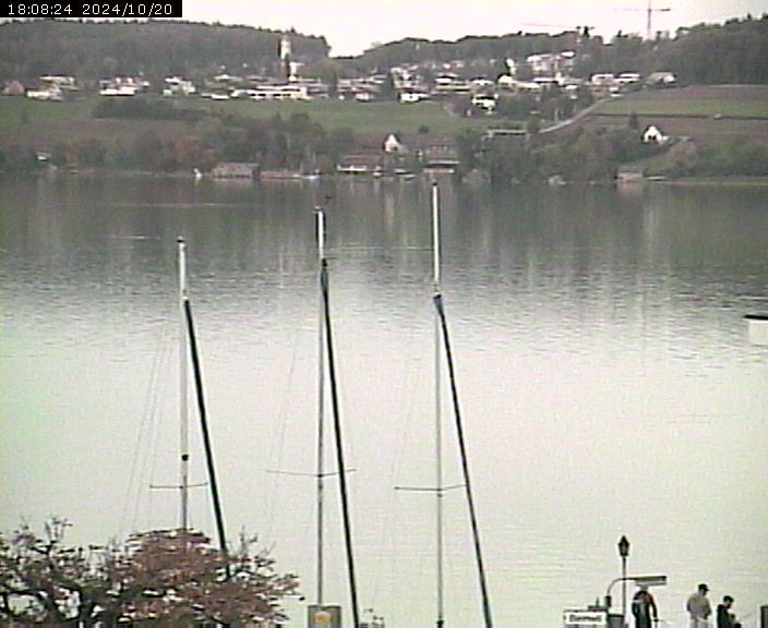 Beinwil am See: Hallwilersee Ost 1