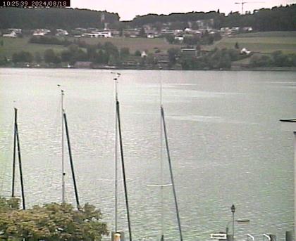 Beinwil am See: Hallwilersee Ost 1