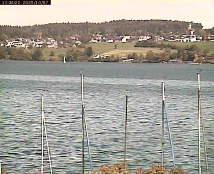 Beinwil am See: Hallwilersee Ost 1