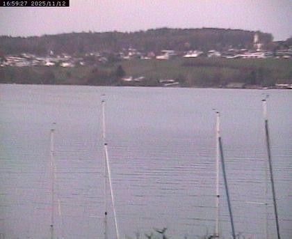 Beinwil am See: Hallwilersee Ost 1