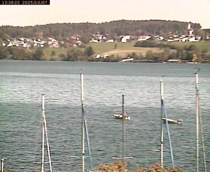 Beinwil am See: Hallwilersee Ost 1