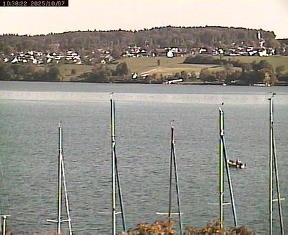 Beinwil am See: Hallwilersee Ost 1