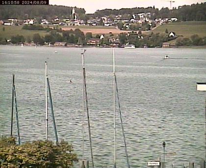 Beinwil am See: Hallwilersee Ost 1