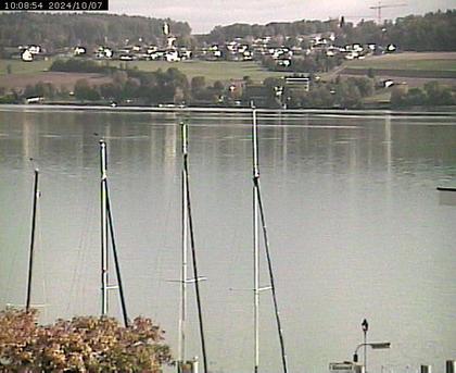 Beinwil am See: Hallwilersee Ost 1