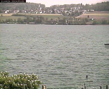 Beinwil am See: Hallwilersee Ost