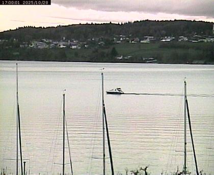 Beinwil am See: Hallwilersee Ost 1