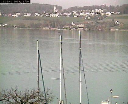 Beinwil am See: Hallwilersee Ost 1