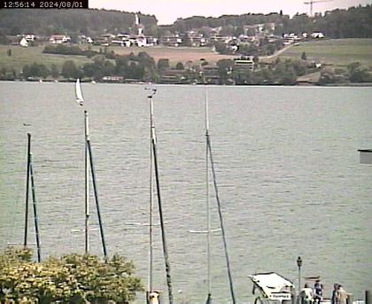 Beinwil am See: Hallwilersee Ost 1